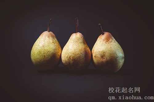 梦见有摘梨和桃子