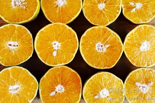 梦见女儿和儿子偷吃橘子