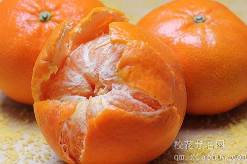 梦见树上好多小橘子