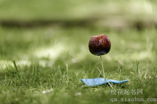 梦见枯萎的苹果