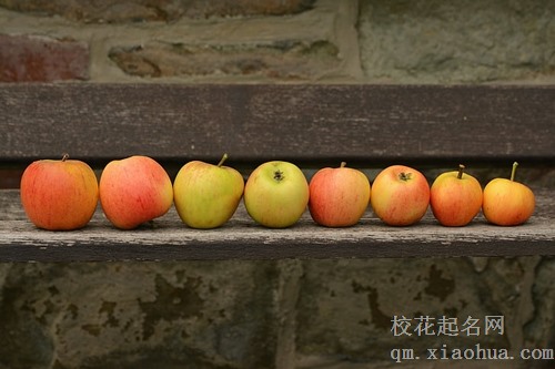 梦见路上有苹果