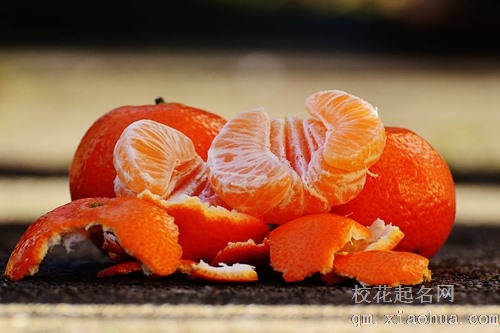 梦见偷橘子被狗咬