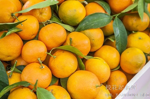 梦见买的橘子烂了