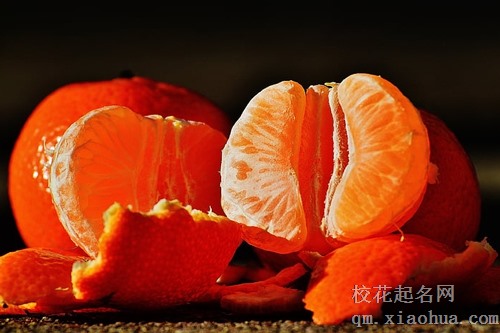 梦见梨树上结橘子