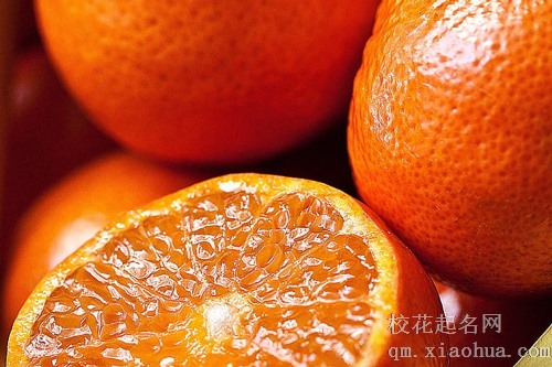 梦见和别人一起吃青橘子