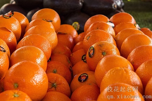 梦见爸爸摘橘子