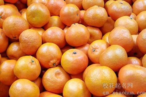 梦见挖宝藏挖出来橘子