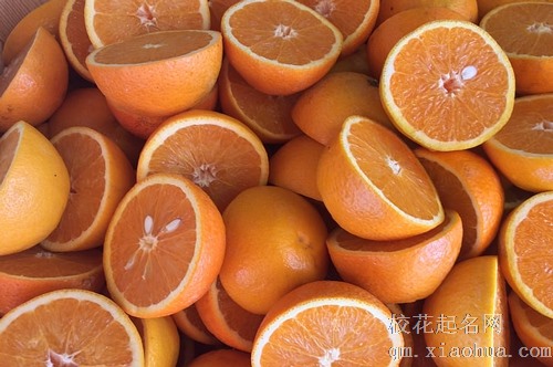 梦见亲戚摘橘子