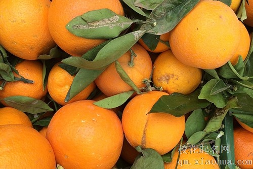 梦见一个人送我橘子