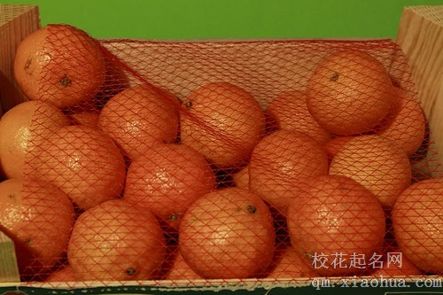 梦见摘橘子好不好