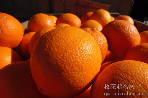 梦见橘子树有花有青果