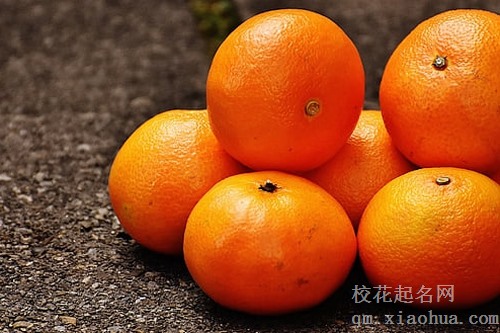 梦见跟男朋友摘橘子