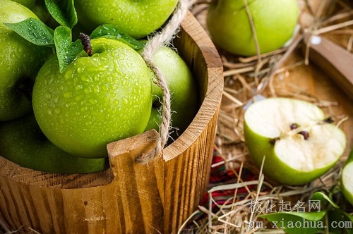 梦见吃苹果有一条虫子