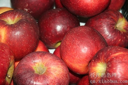 梦见与人红抢苹果