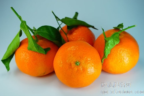 梦见树上只有一个橘子让我摘了