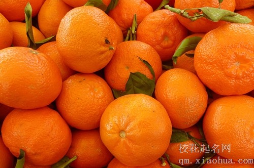 梦见自己在摘橘子是什么意思