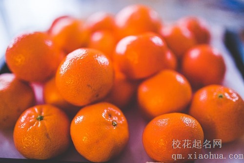 梦见门口树上结满了橘子
