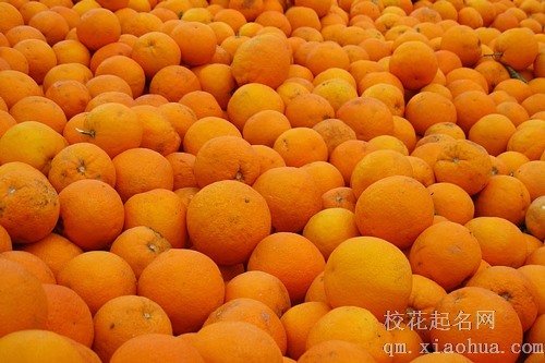 梦见在冰雪天摘红色枸橘子