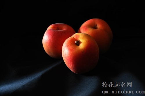 梦见在树摘杏子吃