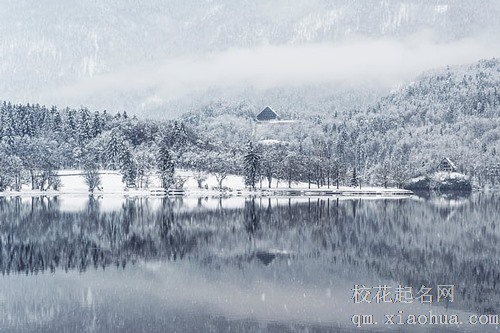 梦见树被砍倒后变成铁