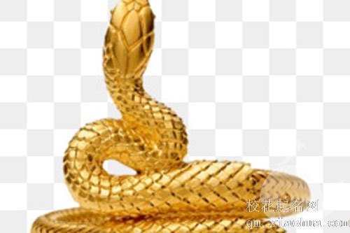 怀孕梦见金蛇