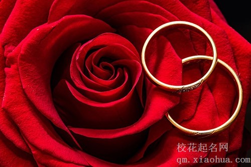 女人梦见金戒指