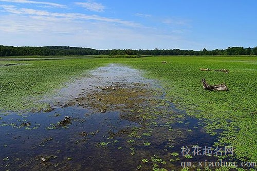 梦见水是怎么回事