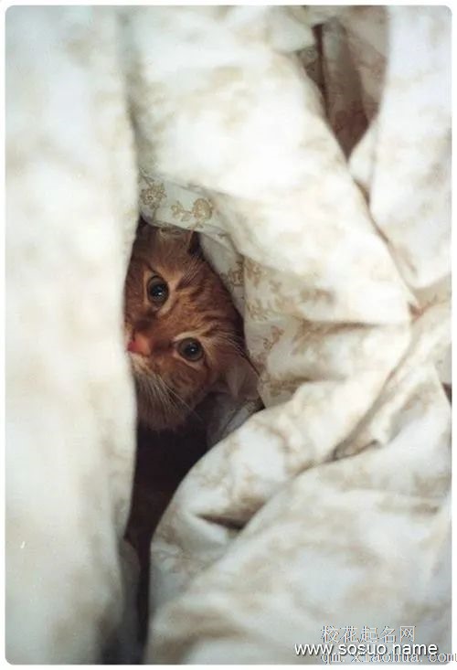 周公解梦：梦见房屋倒塌是什么意思