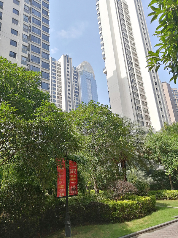 赣州风水师为赣州云星中央星城风水堪察