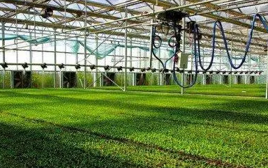 目前大连的都市型农业综合排名在全国第几名呢，大连都市型农业综合排名在第三
