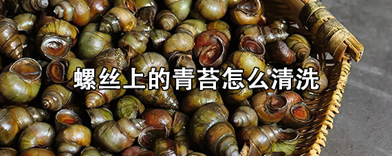 螺丝上的青苔怎么清洗
