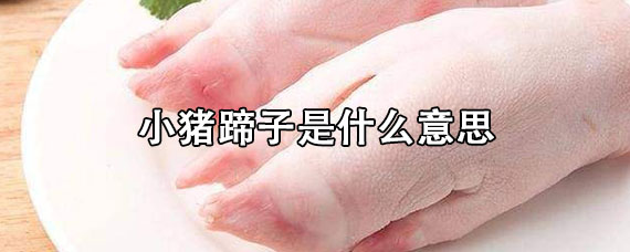 小猪蹄子是什么意思