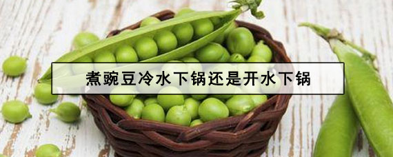 煮豌豆 煮豌豆冷水下锅还是开水下锅
