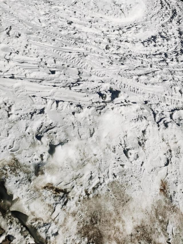 为什么雪花这么漂亮