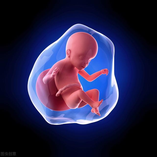 孕晚期吃啥胎儿大脑发育好