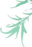 立春 | 春到人间人似玉，灯烧月下月如银