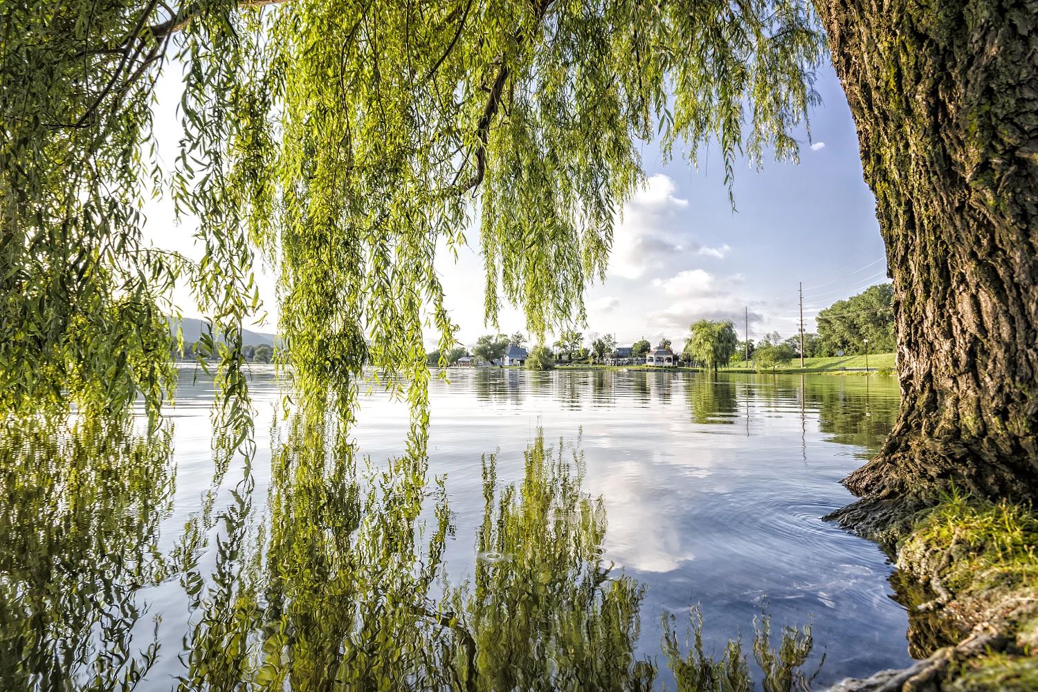 胡威：父子两刺史，一门清廉士