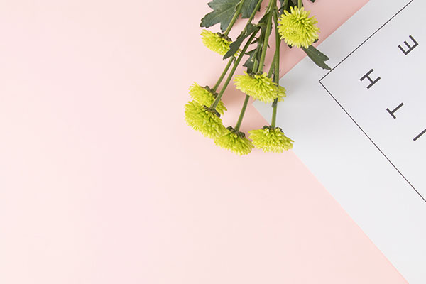 《神农本草经》主要内容简介及鉴赏