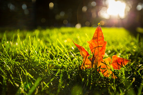 《宋史全文》主要内容简介及赏析