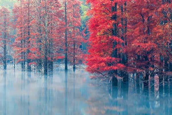 《东西洋考》主要内容简介及赏析