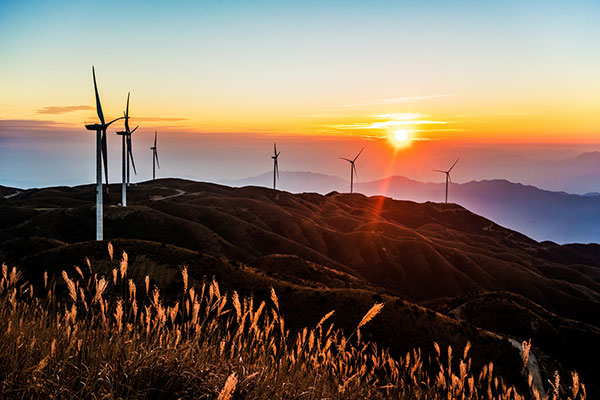 《清史稿》主要内容简介及赏析