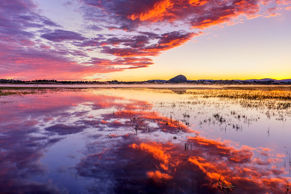 《贞观政要》主要内容简介及赏析