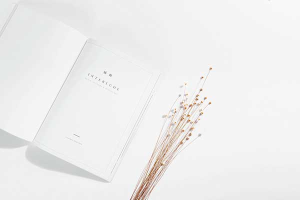 《安禄山事迹》主要内容简介及赏析