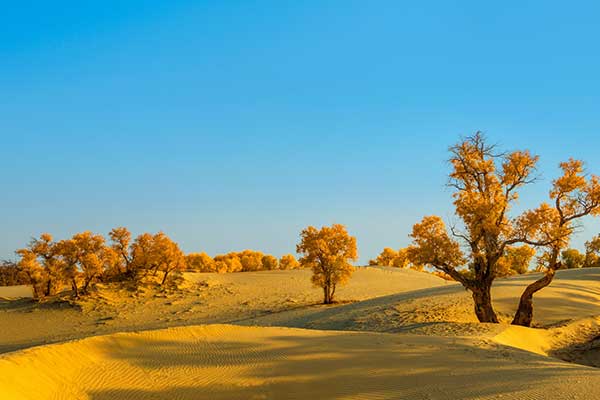 《养吉斋丛录》主要内容简介及赏析