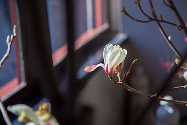 《竹叶亭杂记》主要内容简介及赏析