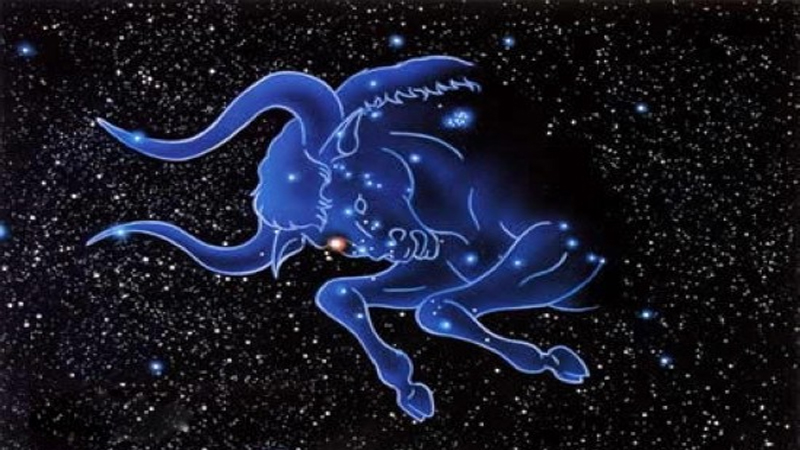 最吸引金牛的是天秤吗