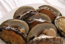 平潭钟门码头鲍鱼大量死亡