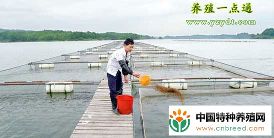 水质与养鱼的关系