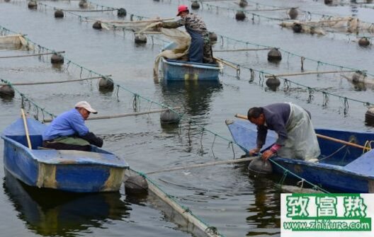 2020养海参赚钱吗？2020海参养殖前景及市场价格行情分析