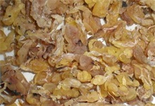 林蛙油的采收技术